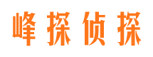 溧水市私家侦探